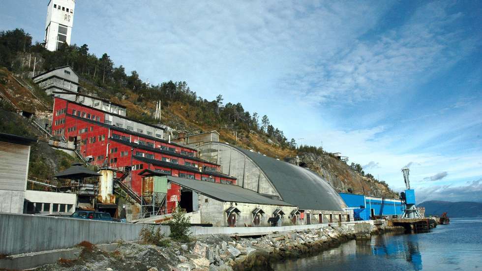 Giftfritt Nesset og området