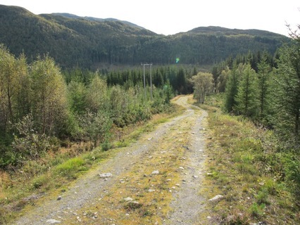 12.mai-Friluftsdag i Stokkdalen og Ytreløper-start
