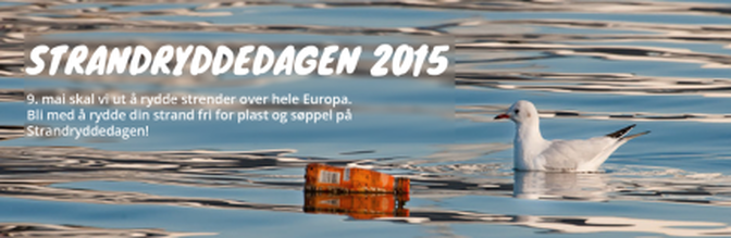 Strandryddedagen 2015