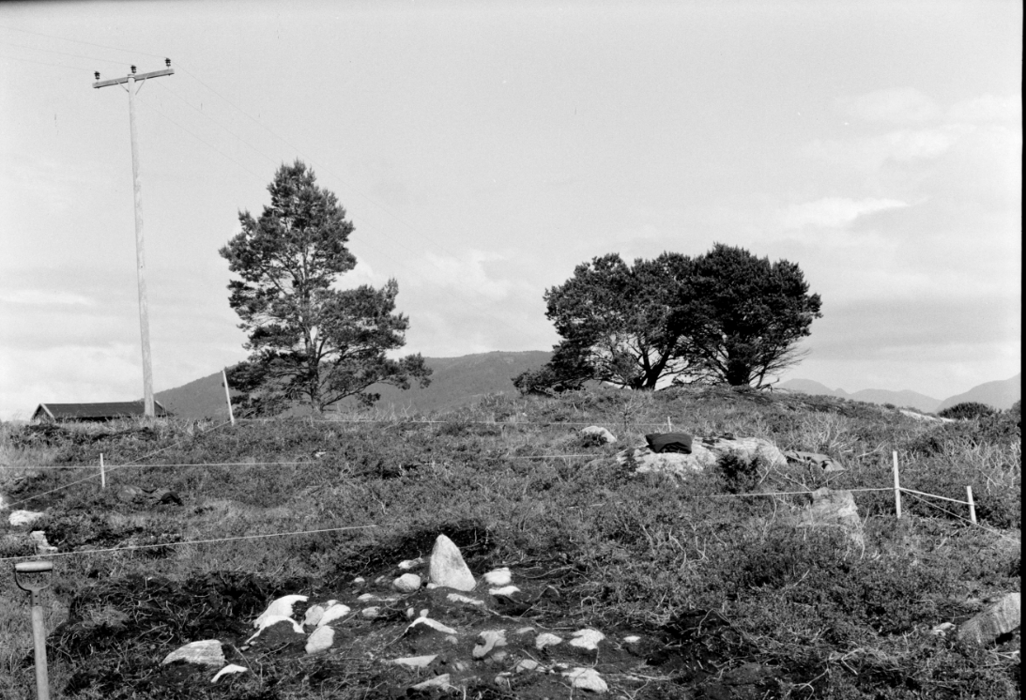 Foto Fredrik Gaustad 1965