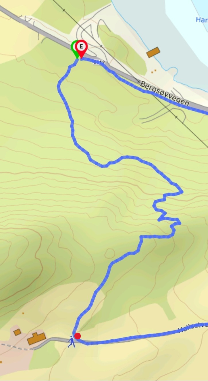 Artikkelbilde til artikkelen Tredje etappe Hoem- Geitastien- Hamnahøgda