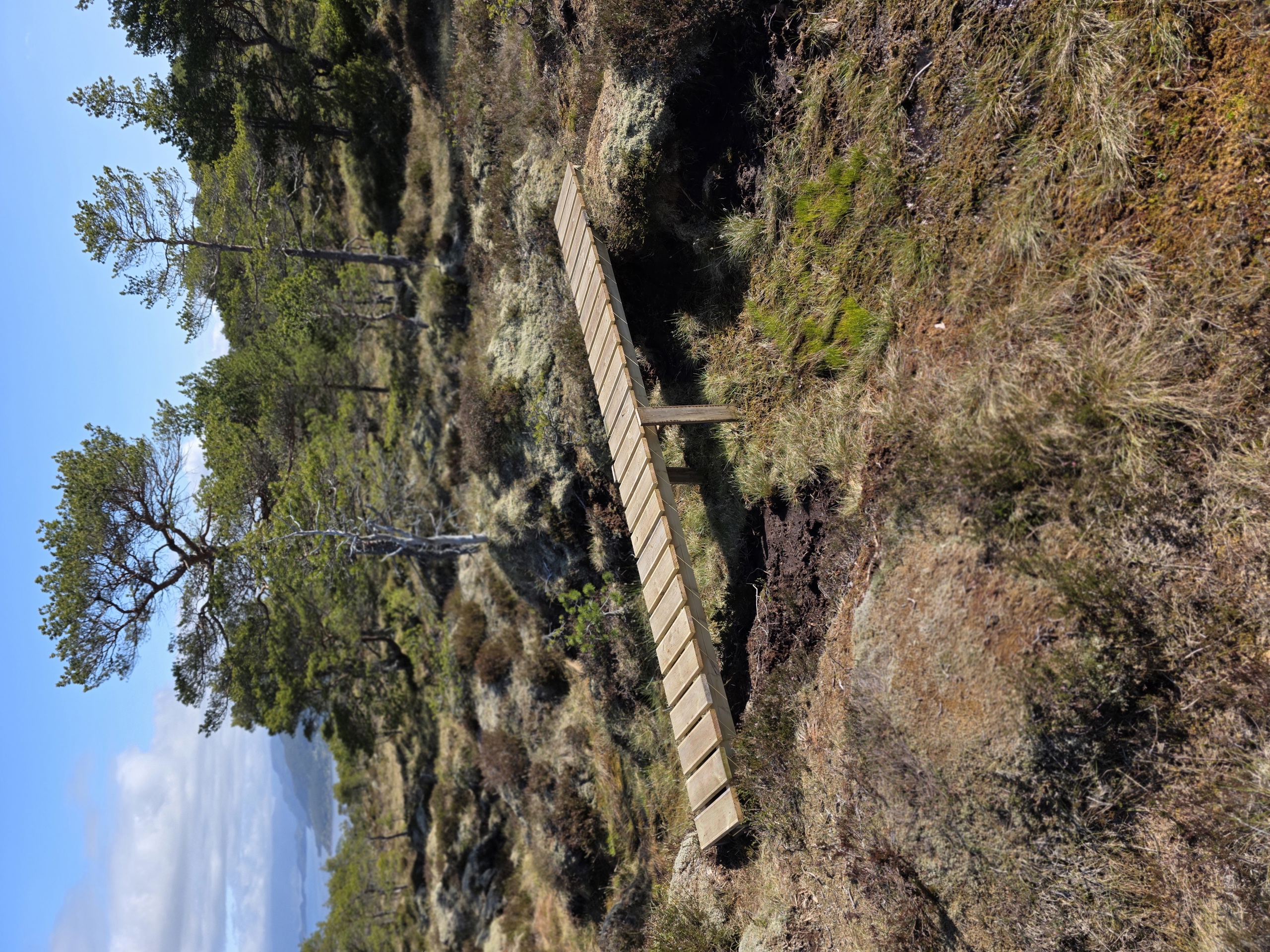 Fjellstien fra Høgbergura til Varden