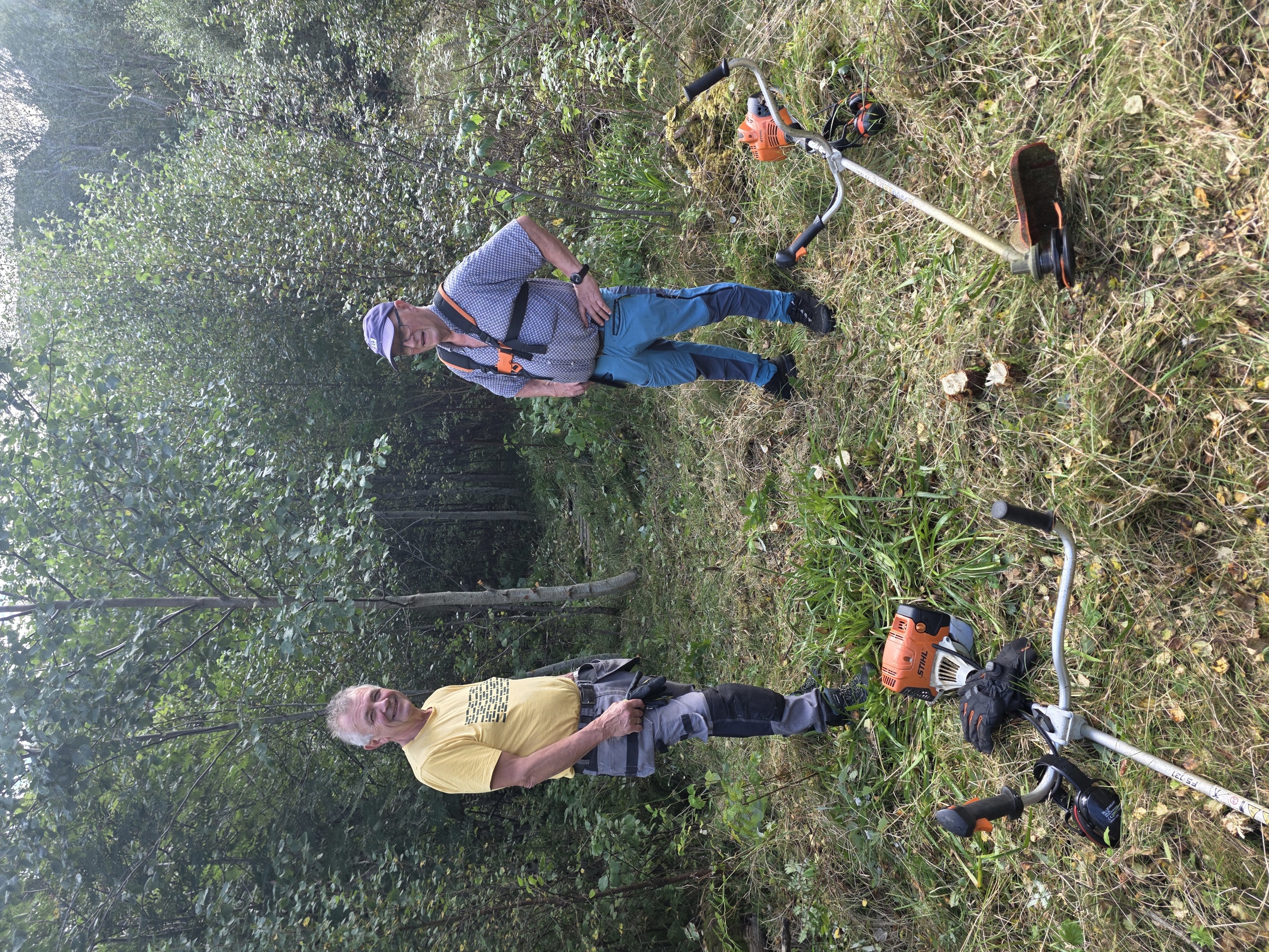 Dugnad på Ikorneset