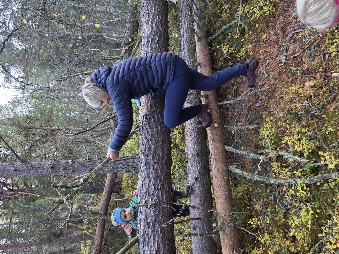 Postveien stengt etter uværet.